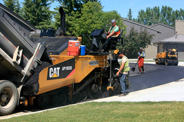 Best Custom Driveway Pavers  in Vero Beach, FL